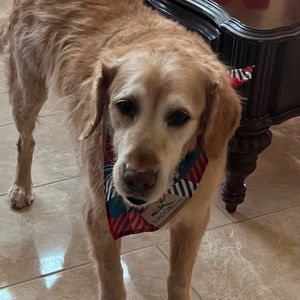 Meet your Posher, Marisol